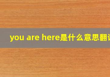 you are here是什么意思翻译